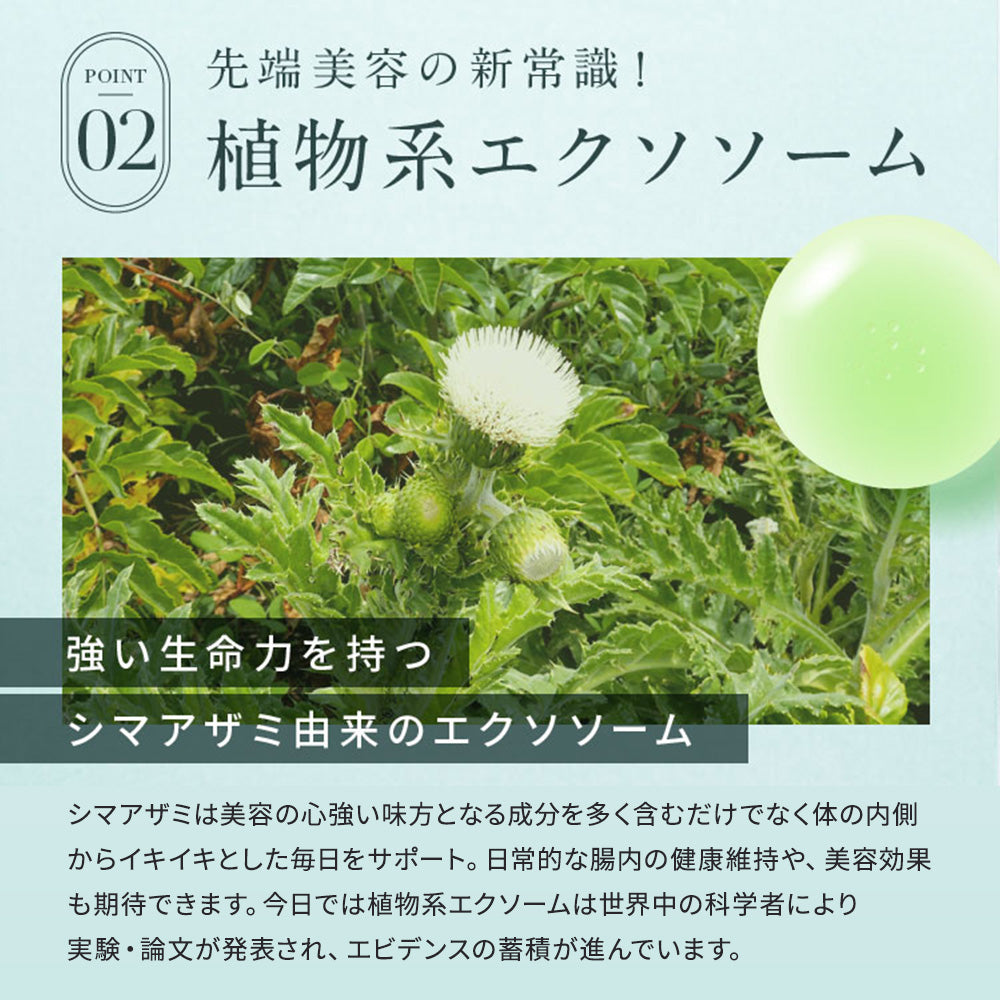 SEIOU92 プレミアムゼリー