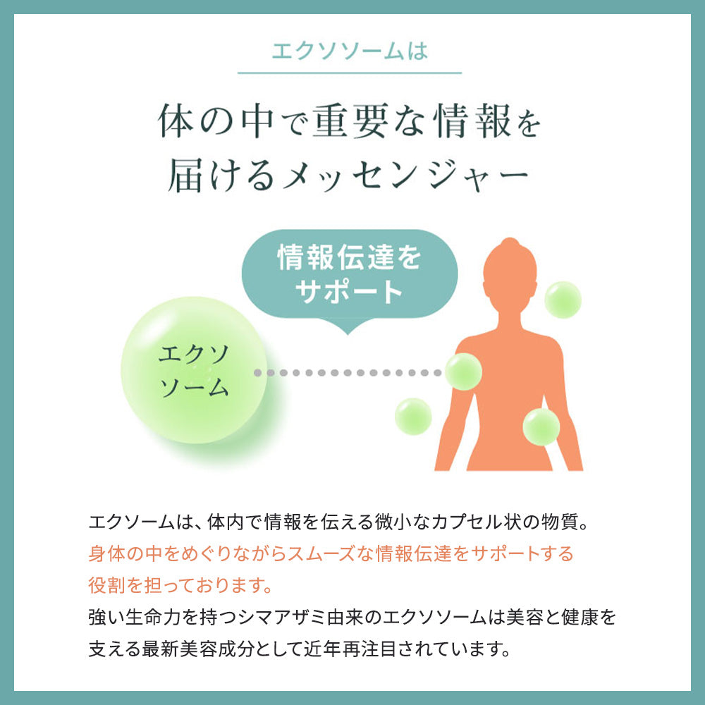SEIOU92 プレミアムゼリー